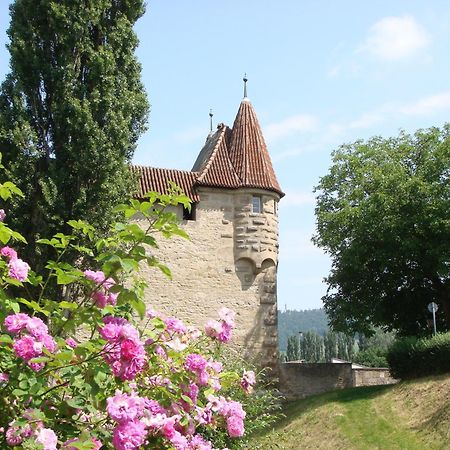 Weingut Gaestehaus Weigand Iphofen Eksteriør bilde