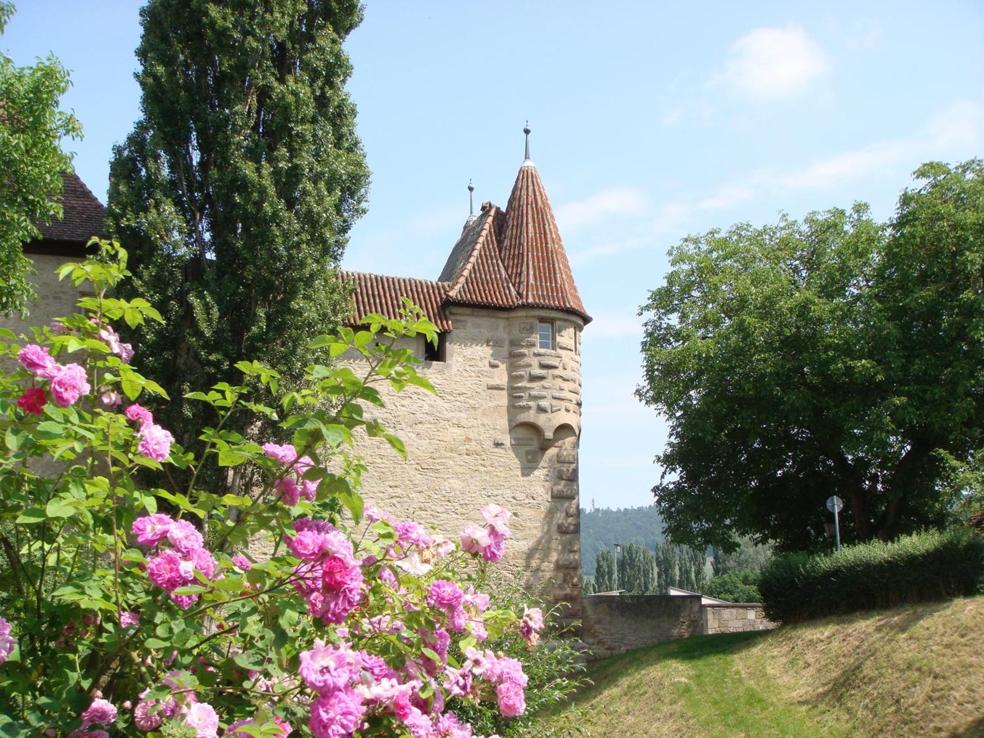 Weingut Gaestehaus Weigand Iphofen Eksteriør bilde
