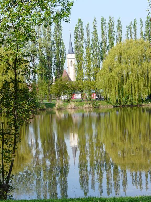 Weingut Gaestehaus Weigand Iphofen Eksteriør bilde